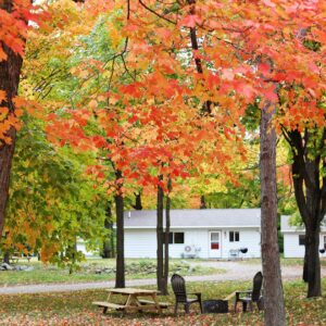 best places to see fall colors in minnesota