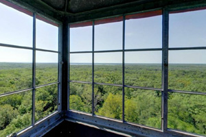 Beautiful view from the top of the observation tower at the Mille Lacs Kathio State Park
Photo credit: Minnesota Department of Natural Resources 