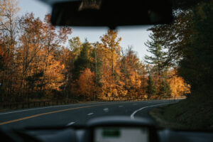 Looking out from car driver seat at fall foliage lined road.