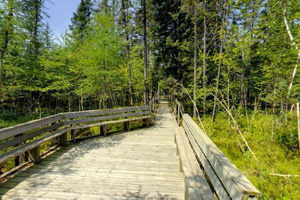 The Touch Earth Trail at Mille Lacs Kathio State Park