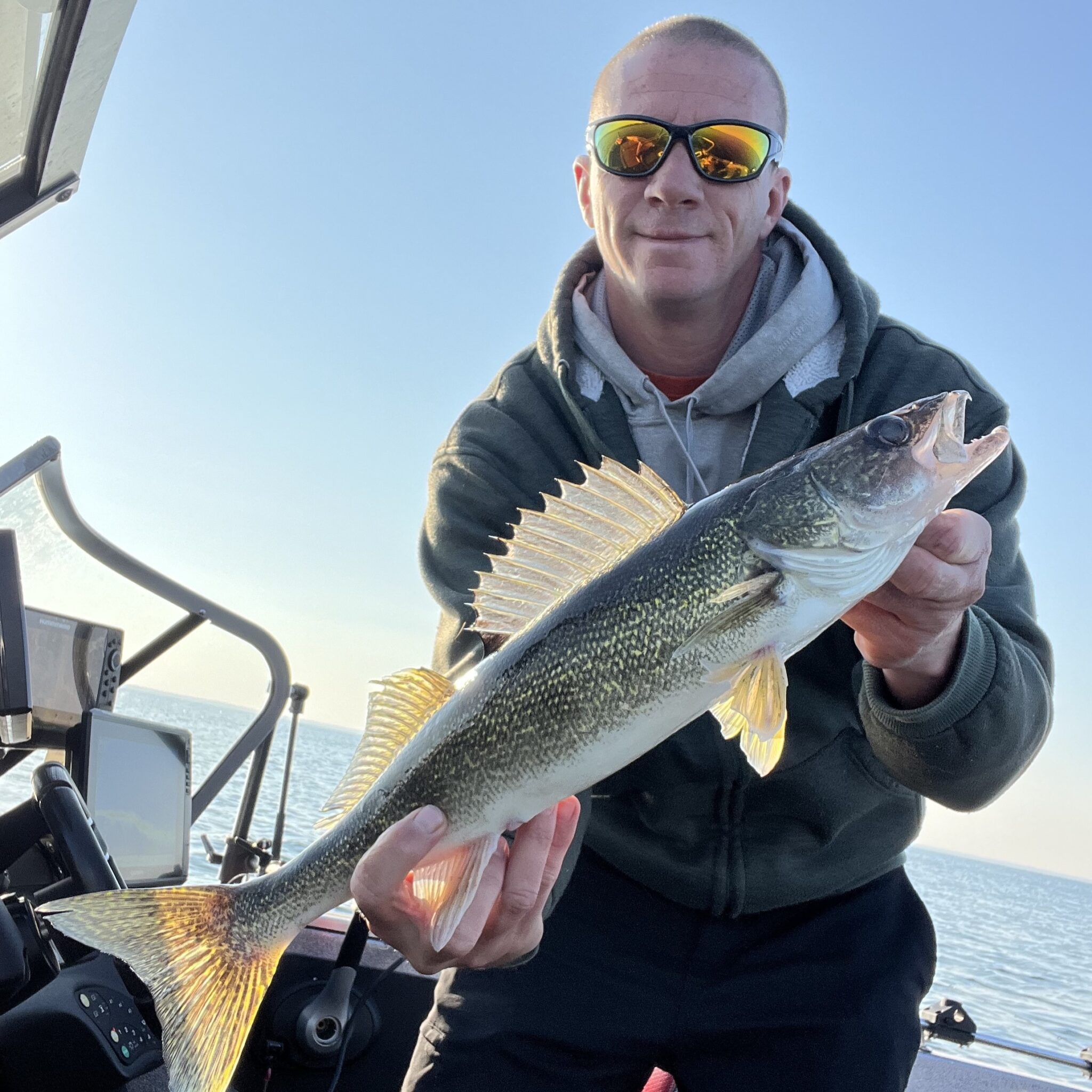 Healthy Mille Lacs Walleye